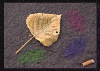 134: I. Lorenz; Autumn Leaf; Worms; 2009
